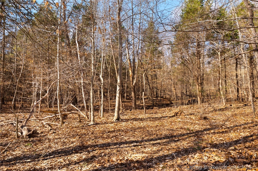 In-62 & Riddle Road English, IN 47137 - Photo 36 of 64