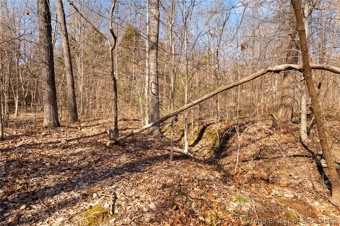 In-62 & Riddle Road English, IN 47137 - Photo 37 of 64