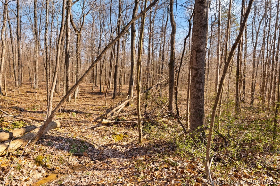 In-62 & Riddle Road English, IN 47137 - Photo 38 of 64