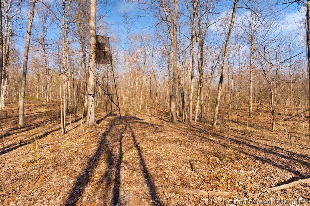 In-62 & Riddle Road English, IN 47137 - Photo 39 of 64