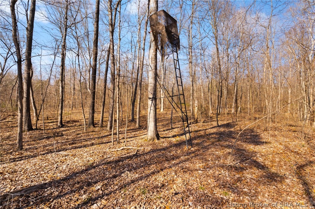 In-62 & Riddle Road English, IN 47137 - Photo 40 of 64