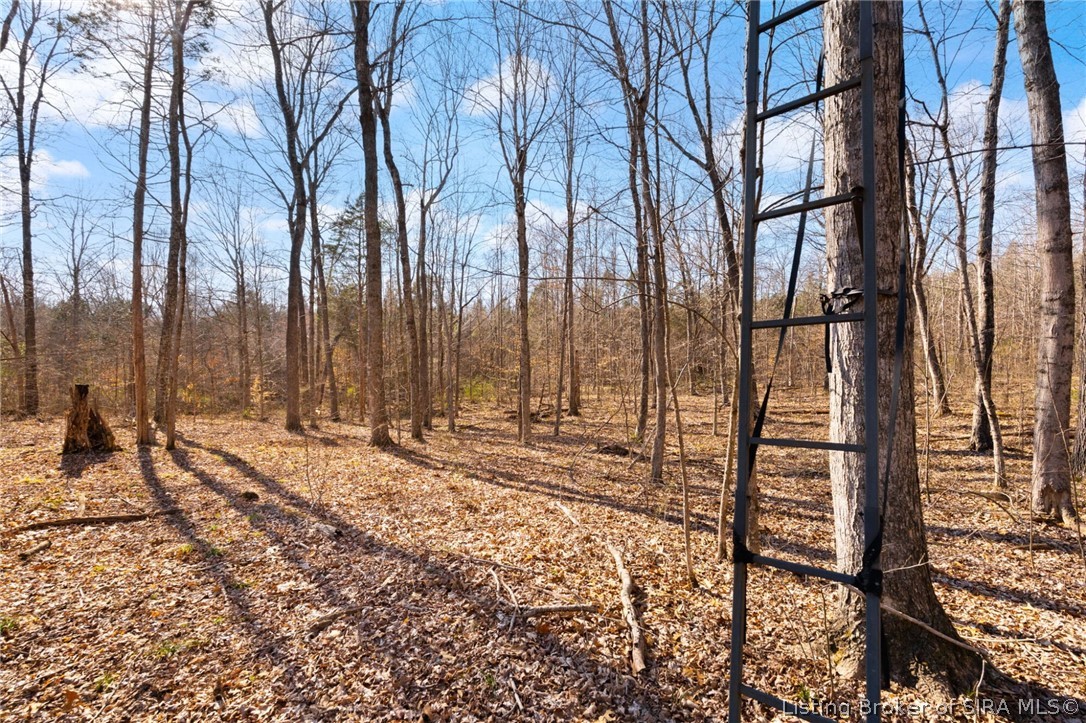 In-62 & Riddle Road English, IN 47137 - Photo 41 of 64