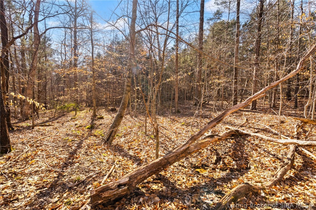 In-62 & Riddle Road English, IN 47137 - Photo 42 of 64