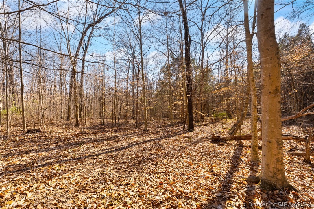 In-62 & Riddle Road English, IN 47137 - Photo 43 of 64