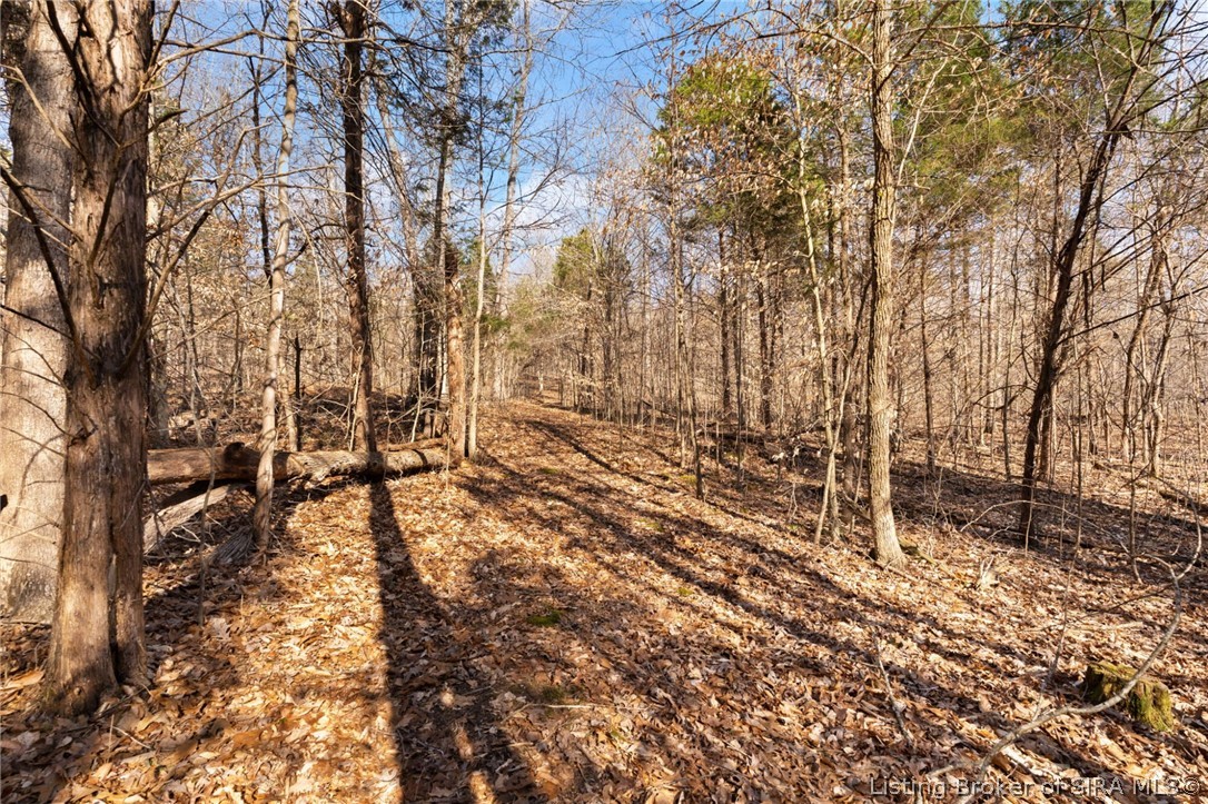 In-62 & Riddle Road English, IN 47137 - Photo 44 of 64