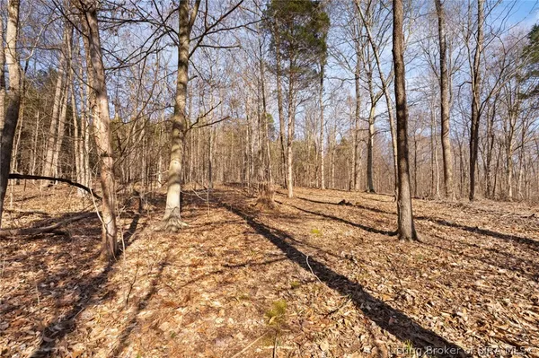$1 | In-62 & Riddle Road, English, IN 47137
