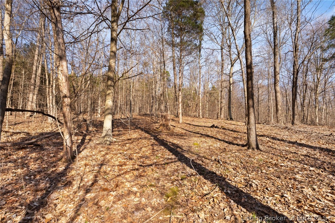 In-62 & Riddle Road English, IN 47137 - Photo 45 of 64