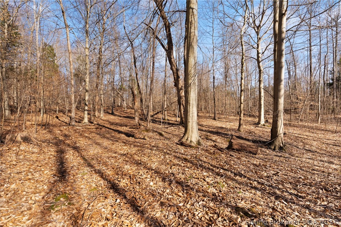 In-62 & Riddle Road English, IN 47137 - Photo 46 of 64