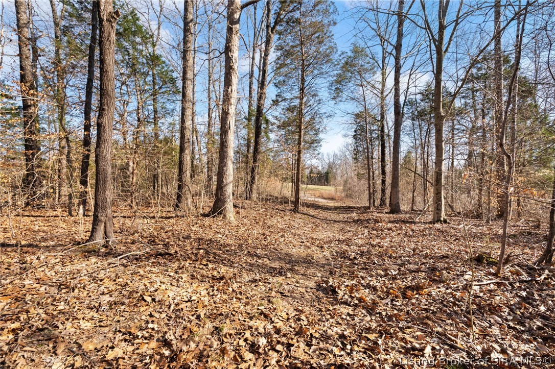 In-62 & Riddle Road English, IN 47137 - Photo 47 of 64