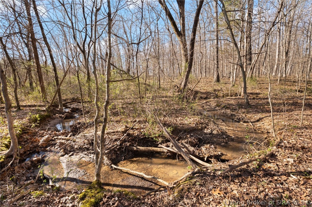 In-62 & Riddle Road English, IN 47137 - Photo 48 of 64