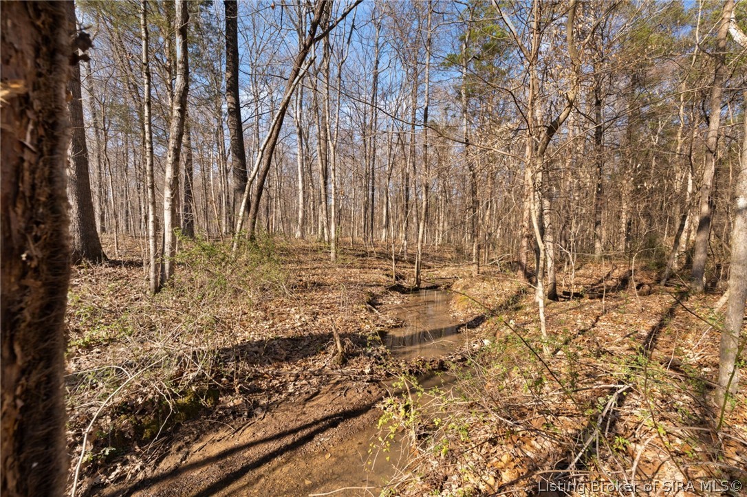 In-62 & Riddle Road English, IN 47137 - Photo 49 of 64