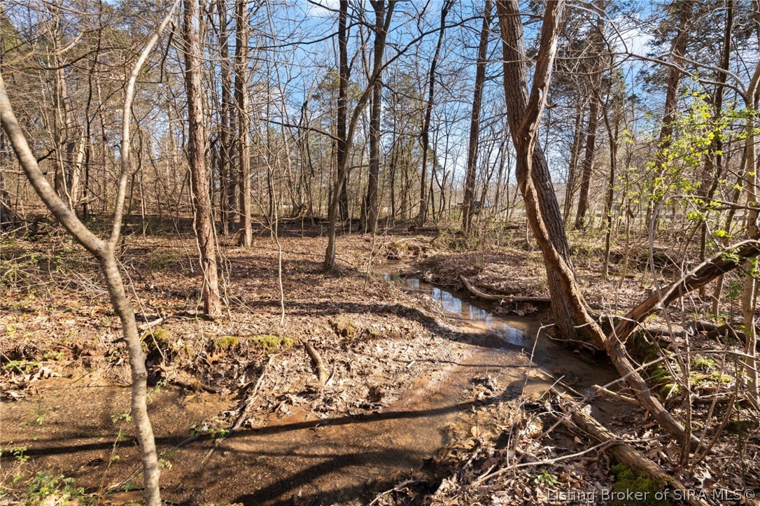 In-62 & Riddle Road English, IN 47137 - Photo 50 of 64