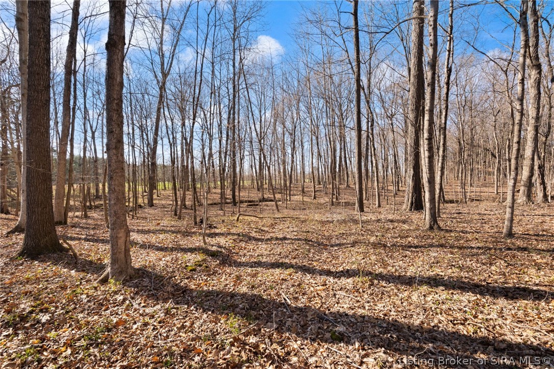 In-62 & Riddle Road English, IN 47137 - Photo 51 of 64