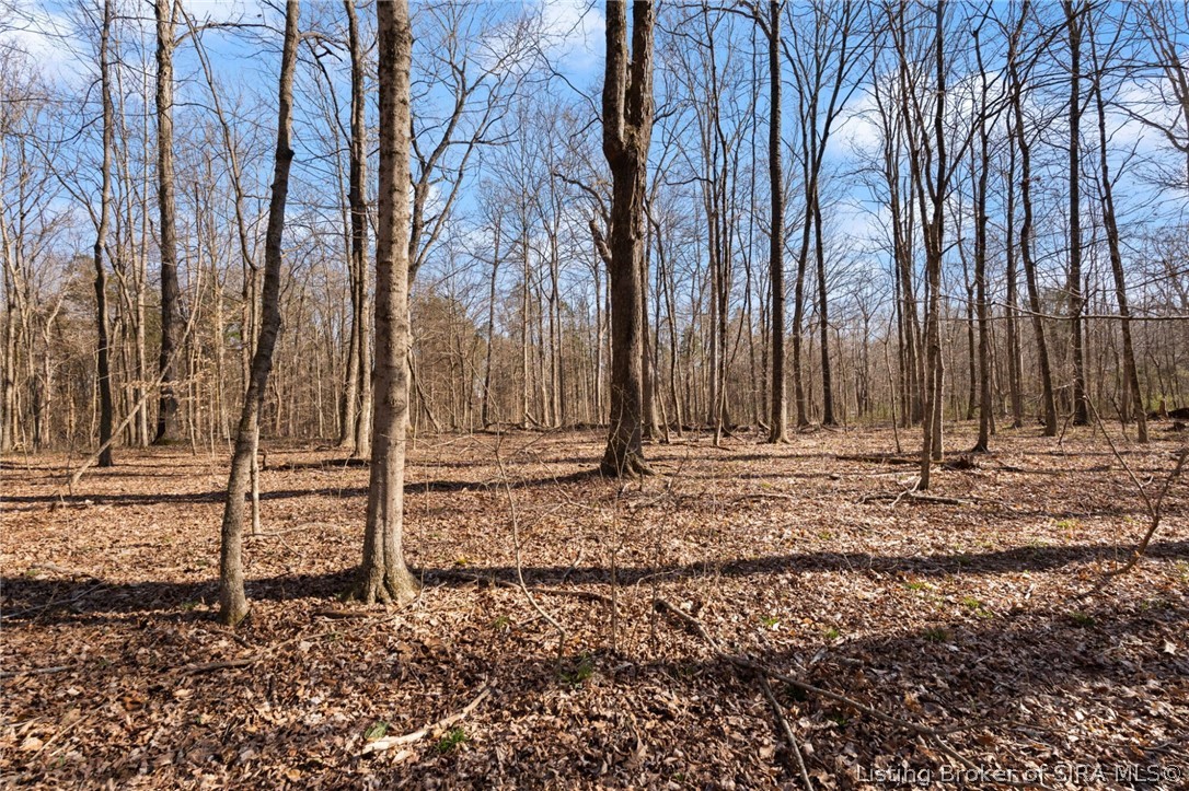 In-62 & Riddle Road English, IN 47137 - Photo 53 of 64