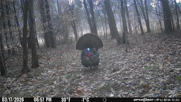 $1 | In-62 & Riddle Road, English, IN 47137