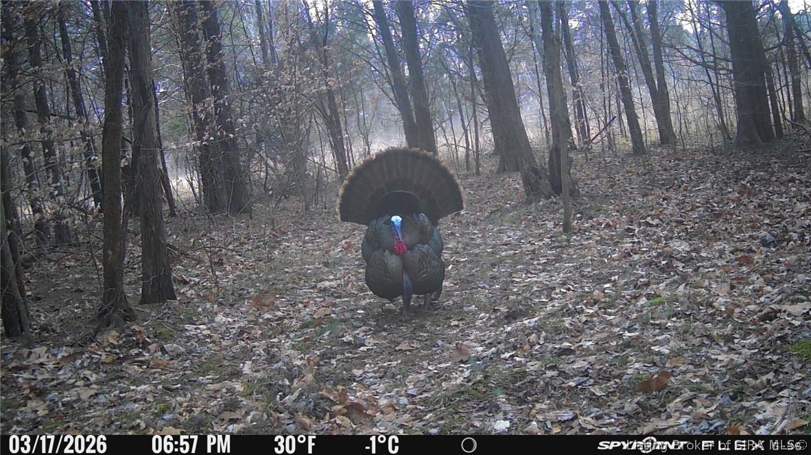 In-62 & Riddle Road English, IN 47137 - Photo 54 of 64