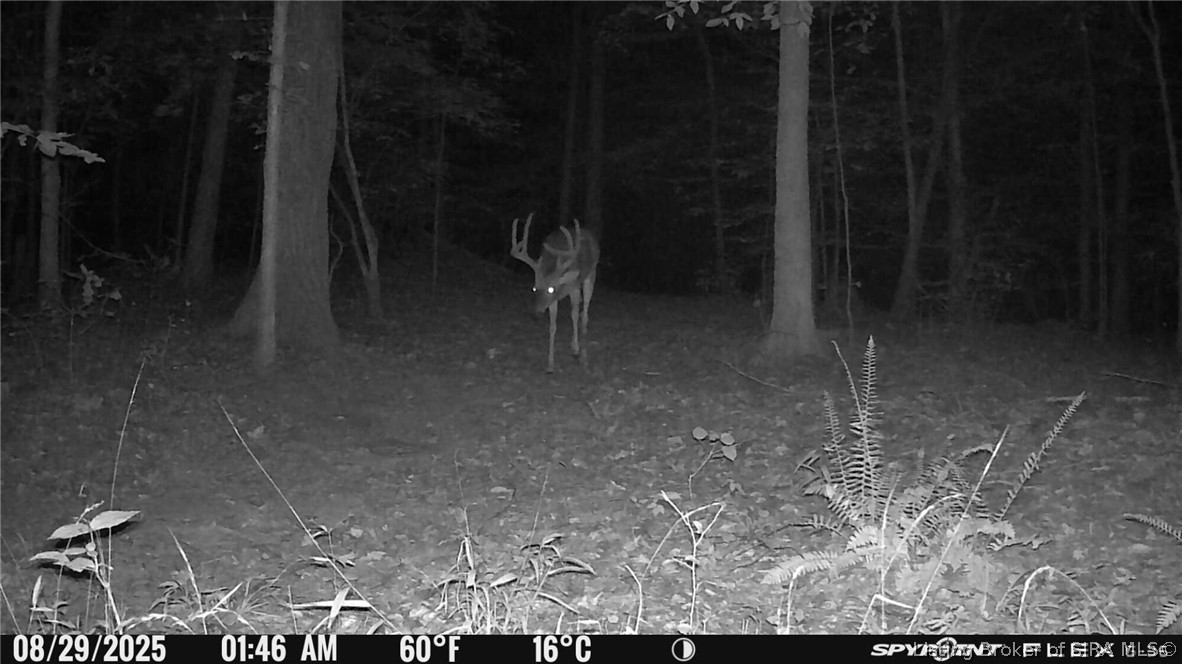 In-62 & Riddle Road English, IN 47137 - Photo 55 of 64