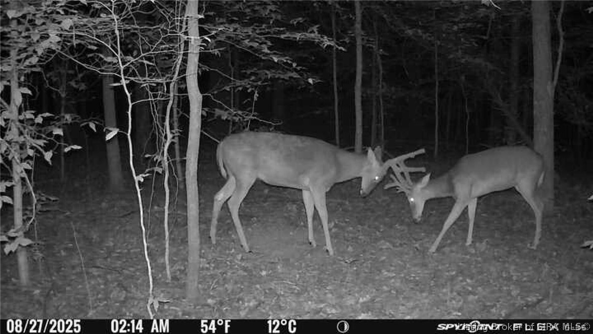 In-62 & Riddle Road English, IN 47137 - Photo 57 of 64