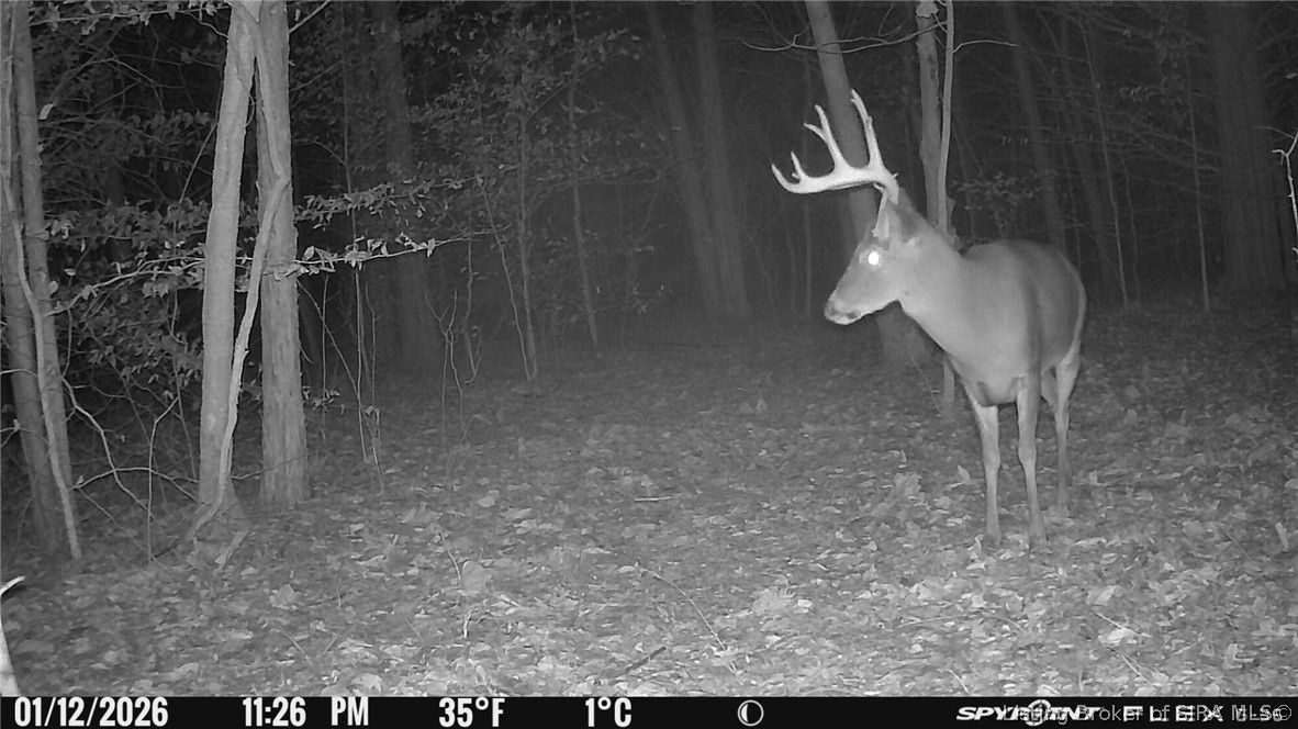 In-62 & Riddle Road English, IN 47137 - Photo 60 of 64