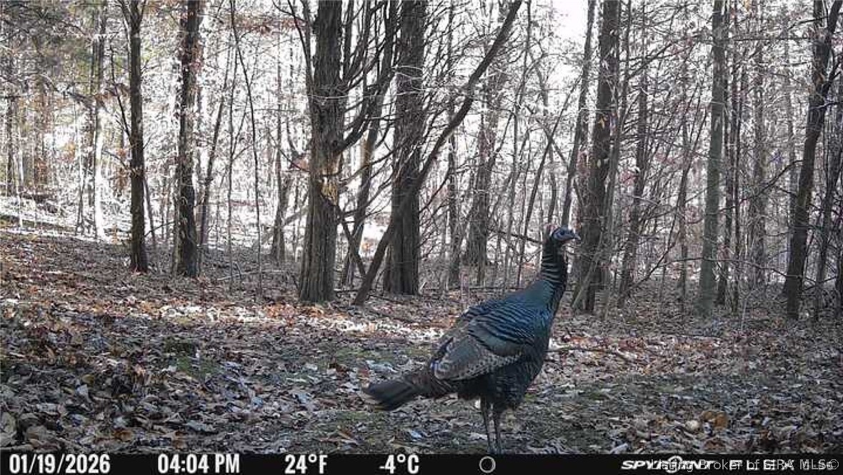 In-62 & Riddle Road English, IN 47137 - Photo 61 of 64