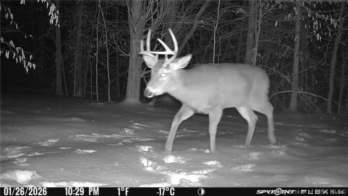 In-62 & Riddle Road English, IN 47137 - Photo 62 of 64