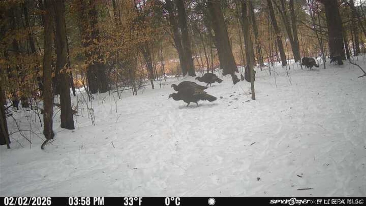 In-62 & Riddle Road English, IN 47137 - Photo 63 of 64