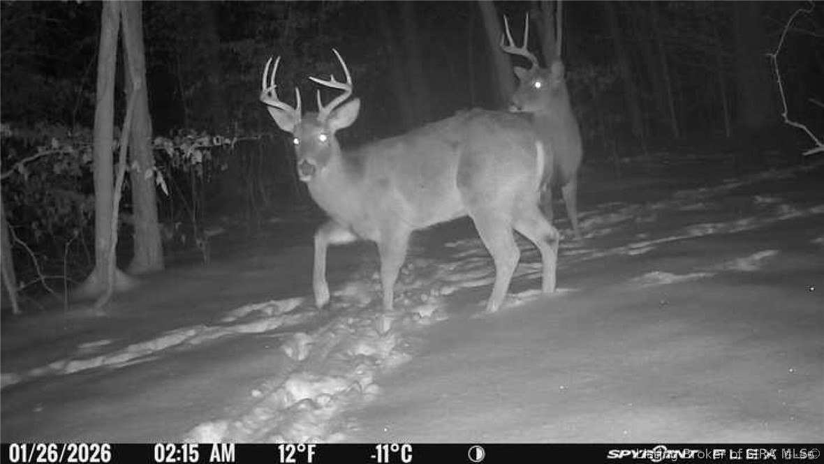 In-62 & Riddle Road English, IN 47137 - Photo 64 of 64