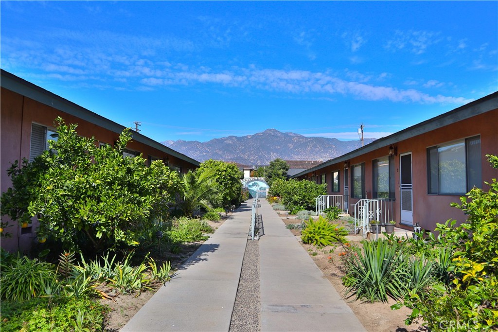 a view of a house with a yard and garden