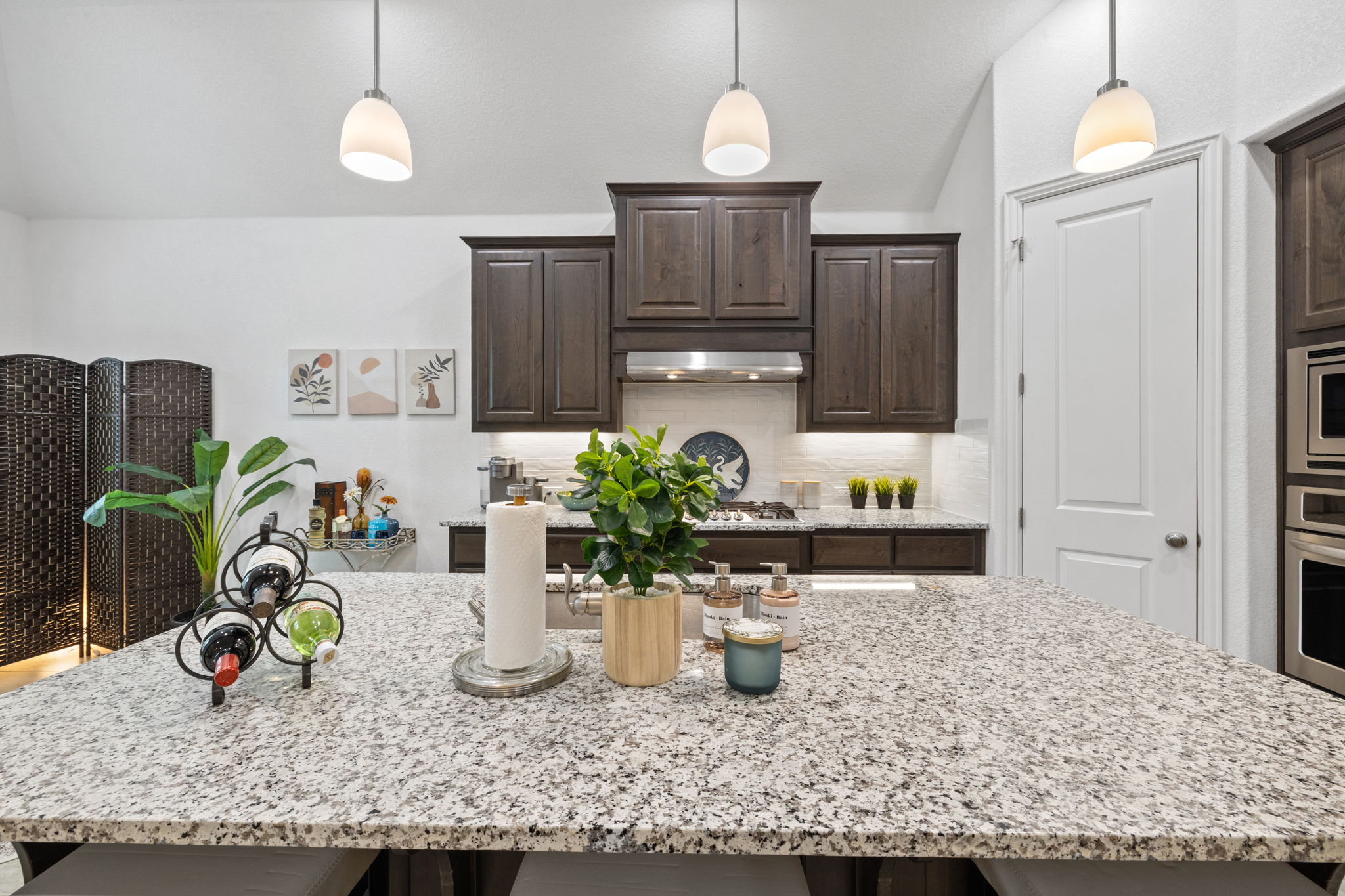 3824 Ashbury Road Round Rock, TX 78681 - Photo 8 of 30 Kitchen island with double well sink