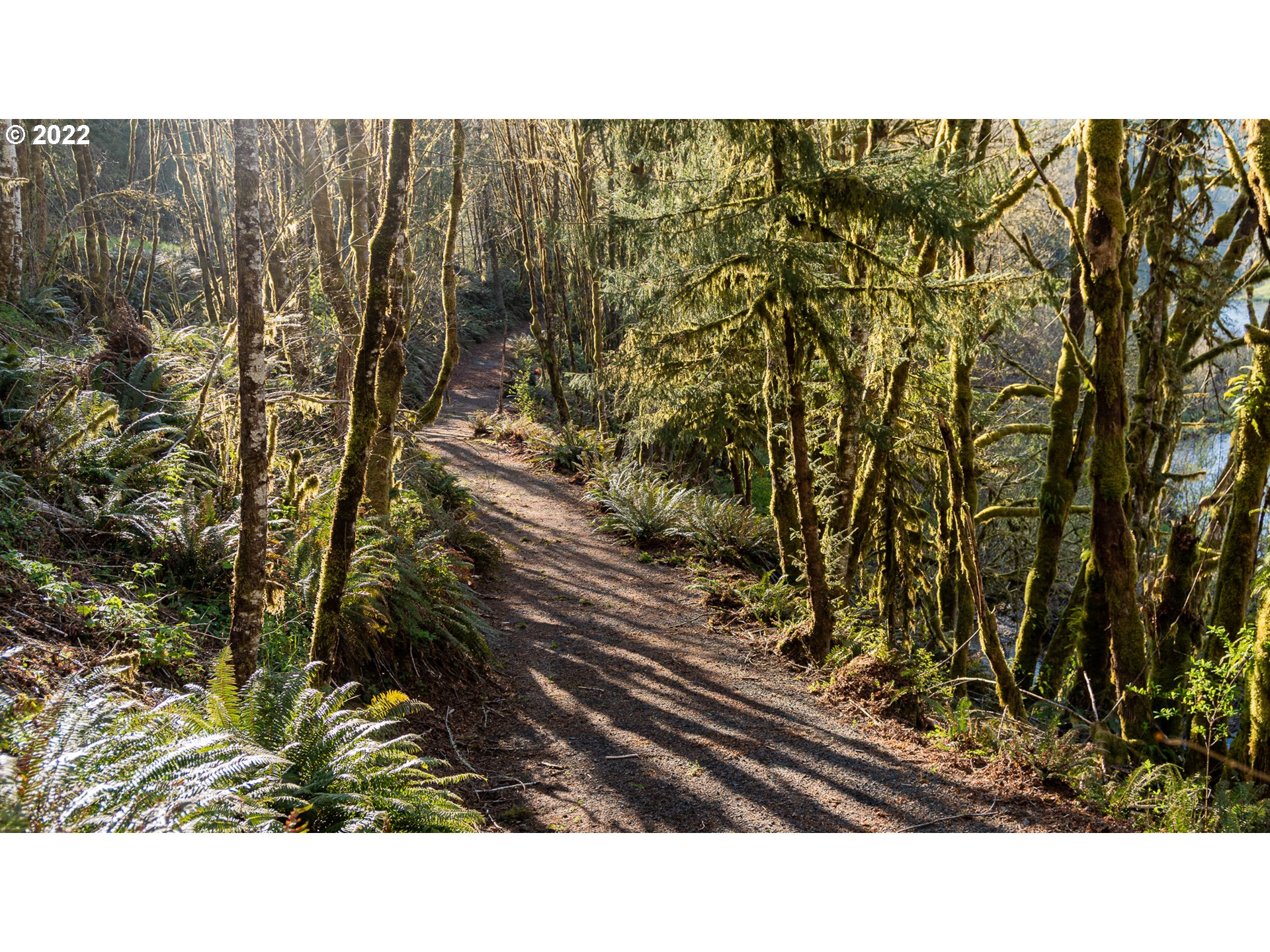 81319 Gronnel Road Seaside, OR 97138 - Photo 1 of 32 Gallery Image 1