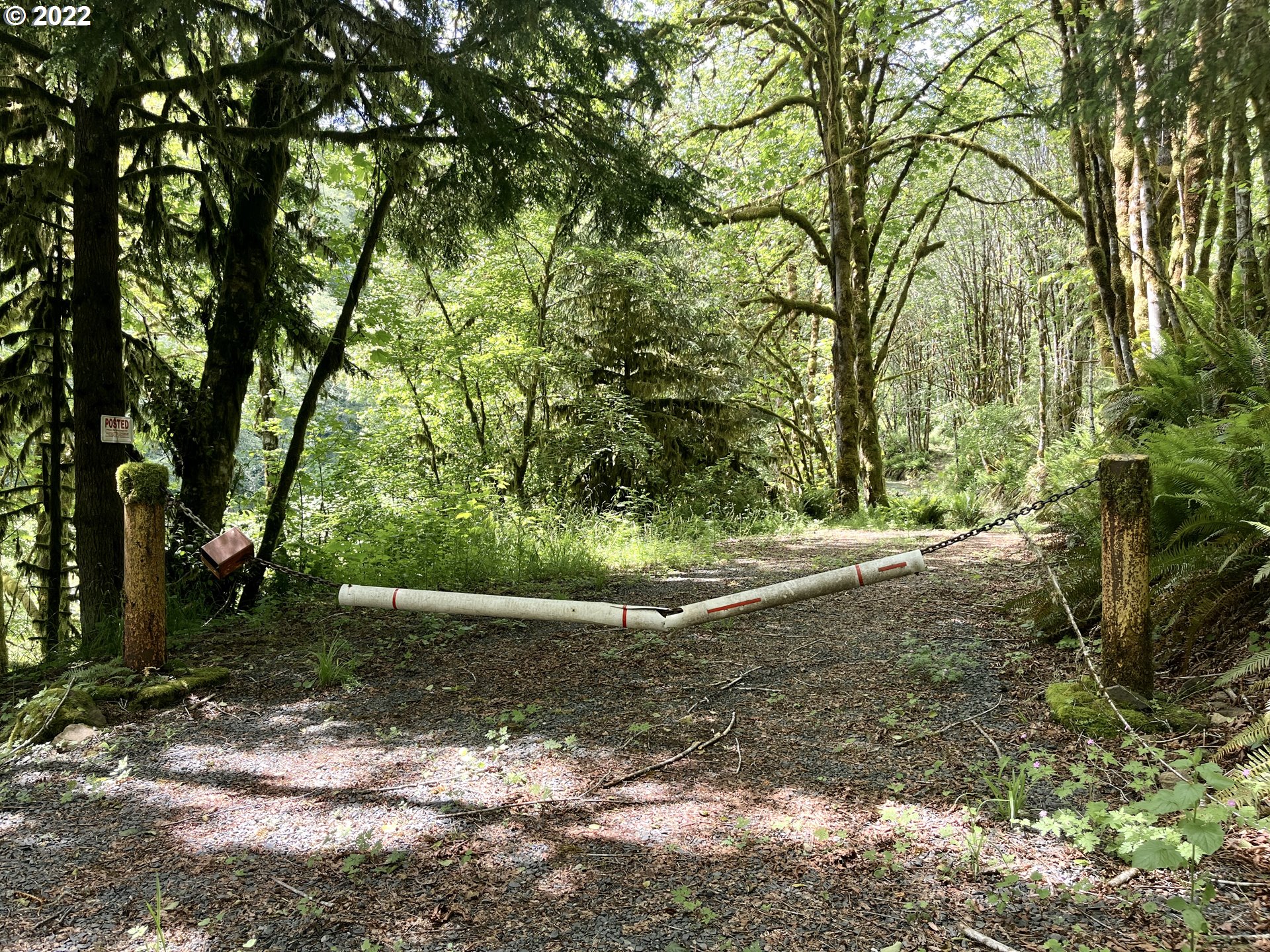 81319 Gronnel Road Seaside, OR 97138 - Photo 11 of 32 Gallery Image 11