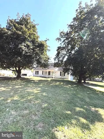 a view of a trees with a yard