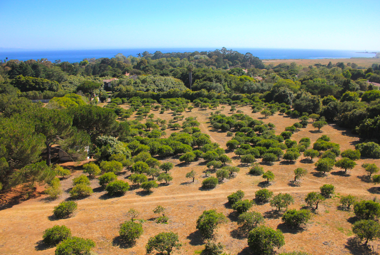 Undisclosed Address Hope Ranch, CA 93110 - Photo 3 of 17