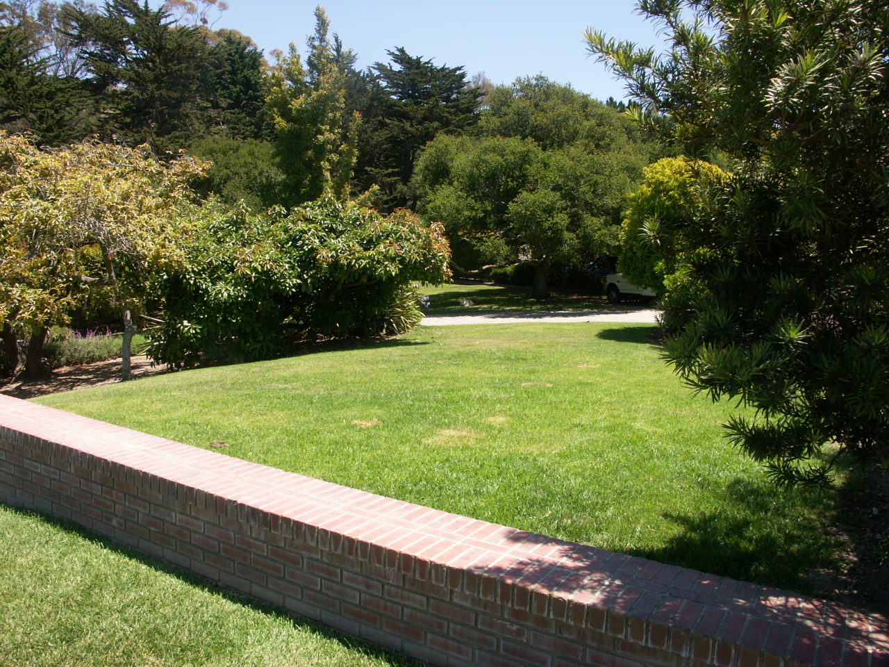 Undisclosed Address Hope Ranch, CA 93110 - Photo 9 of 17 a view of a yard with a bench
