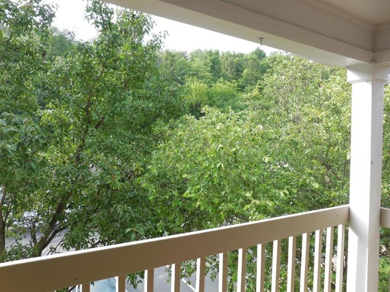 300 Timber Ridge Drive, Unit 9 Newport, KY 41071 - Photo 16 of 19 Gallery Image 16