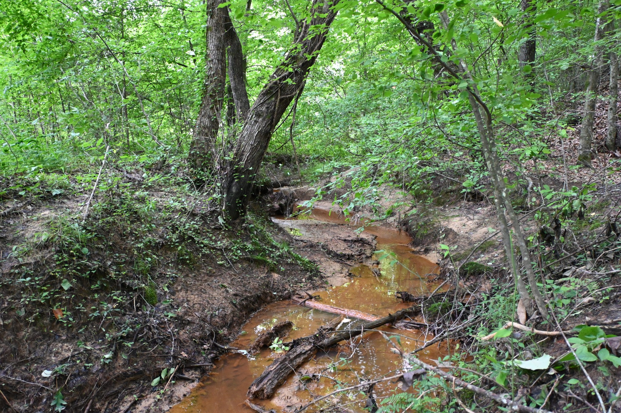 0 Blunt Road Decaturville, TN 38329 - Photo 1 of 43 Gallery Image 1