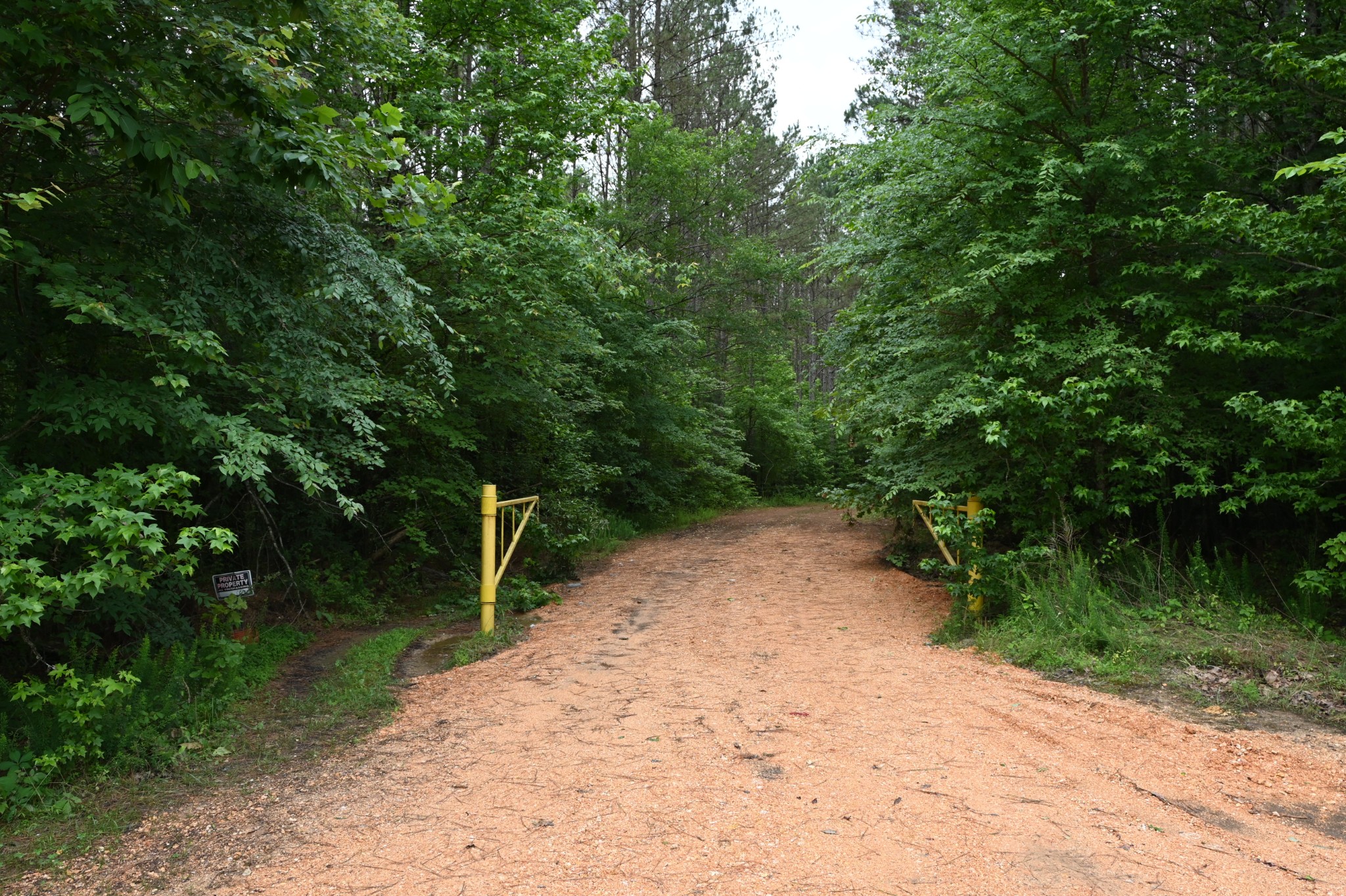 0 Blunt Road Decaturville, TN 38329 - Photo 3 of 43 Gallery Image 3