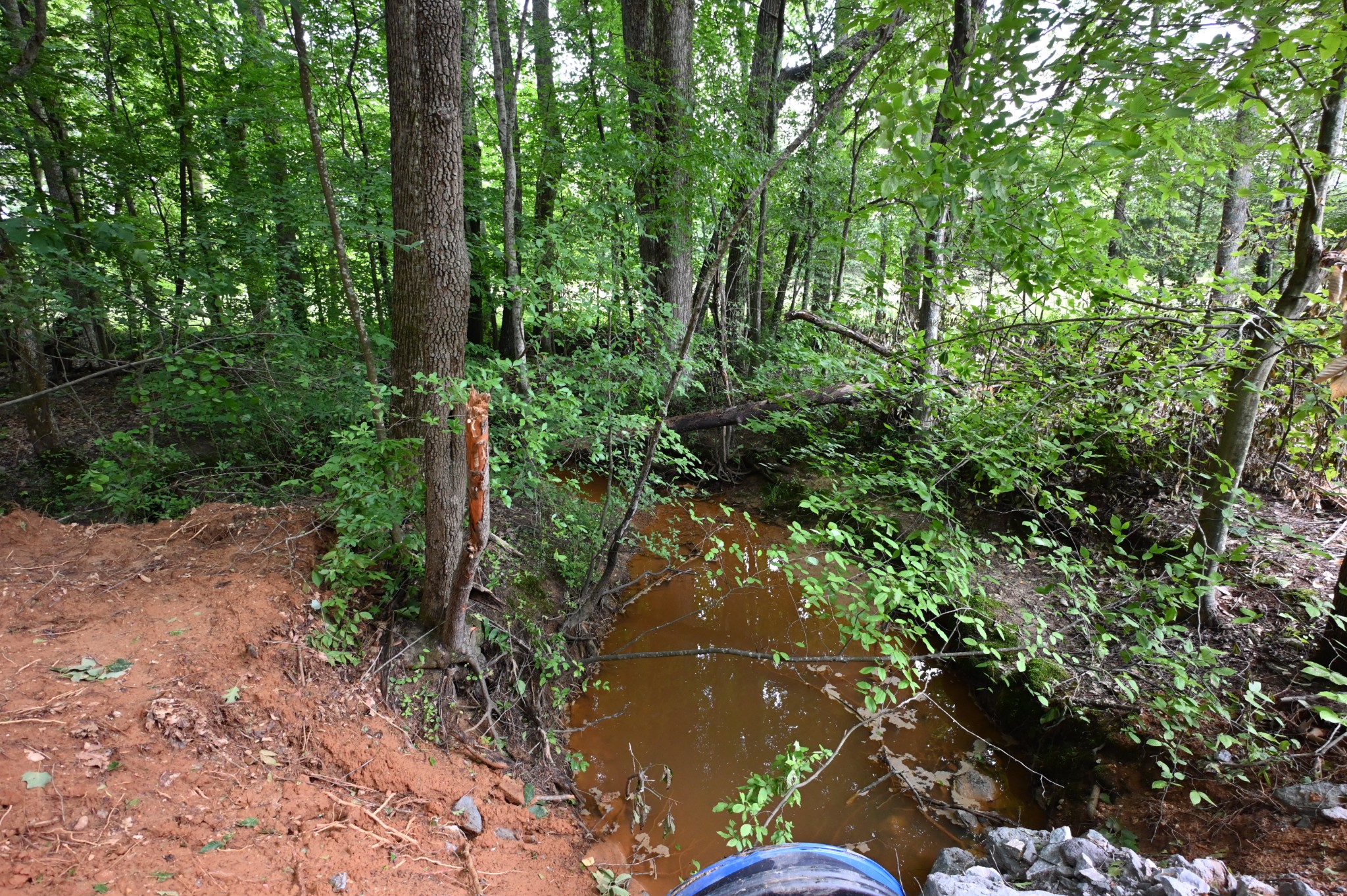 0 Blunt Road Decaturville, TN 38329 - Photo 6 of 43 Gallery Image 6