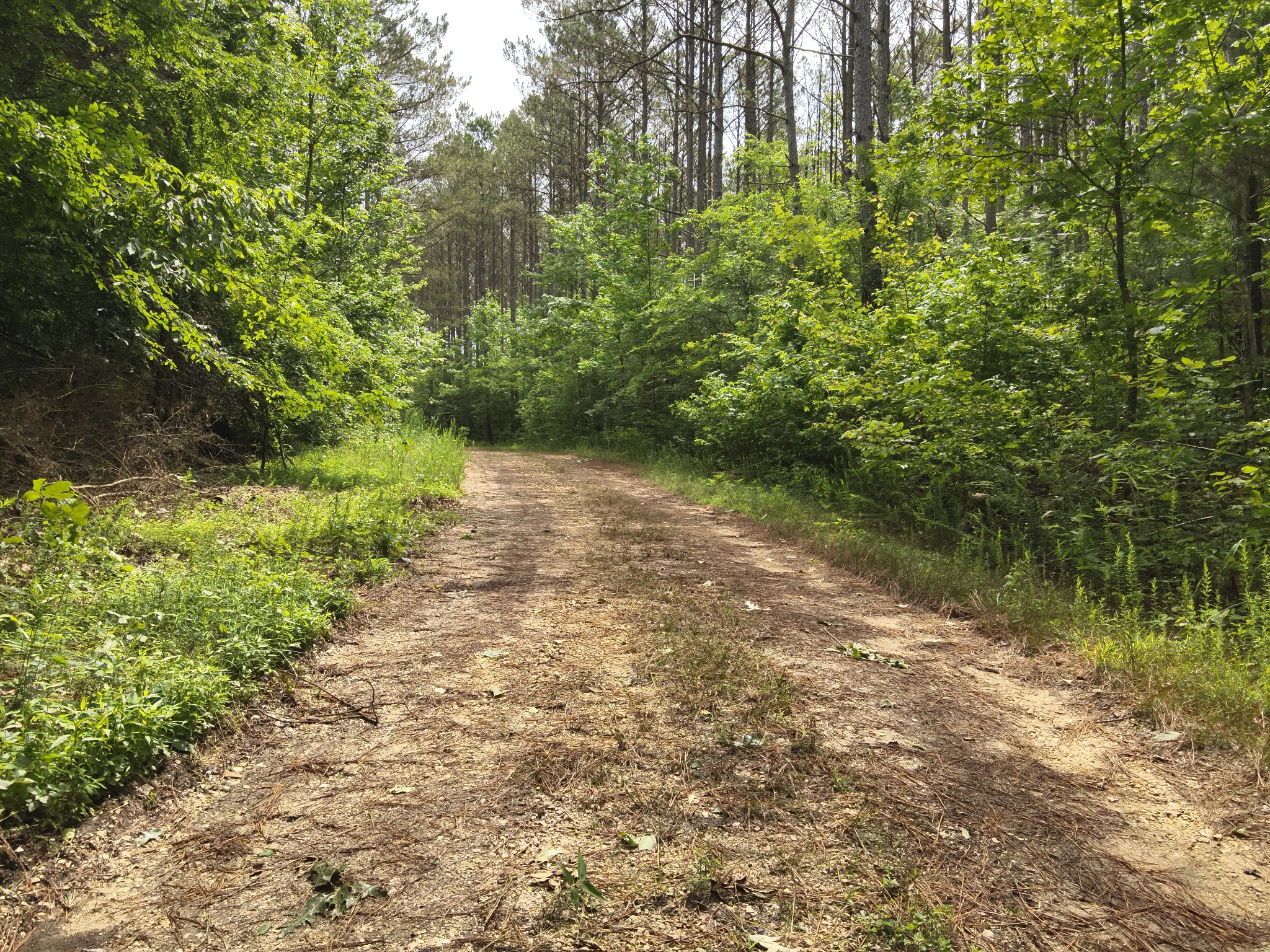 0 Blunt Road Decaturville, TN 38329 - Photo 10 of 43 Gallery Image 10