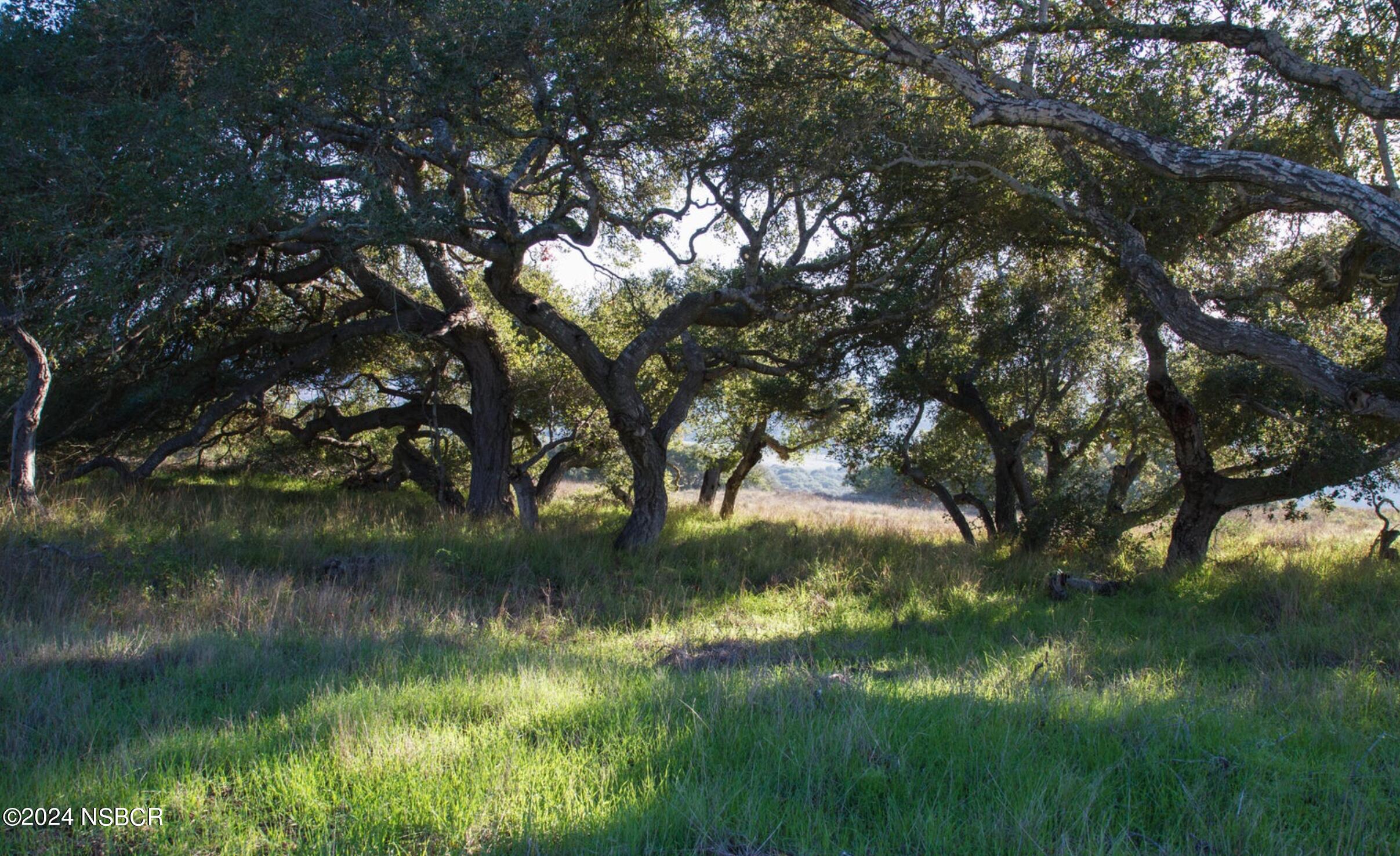 0 Cougar Ridge Road Buellton, CA 93427 - Photo 23 of 27 a view of lake with green space