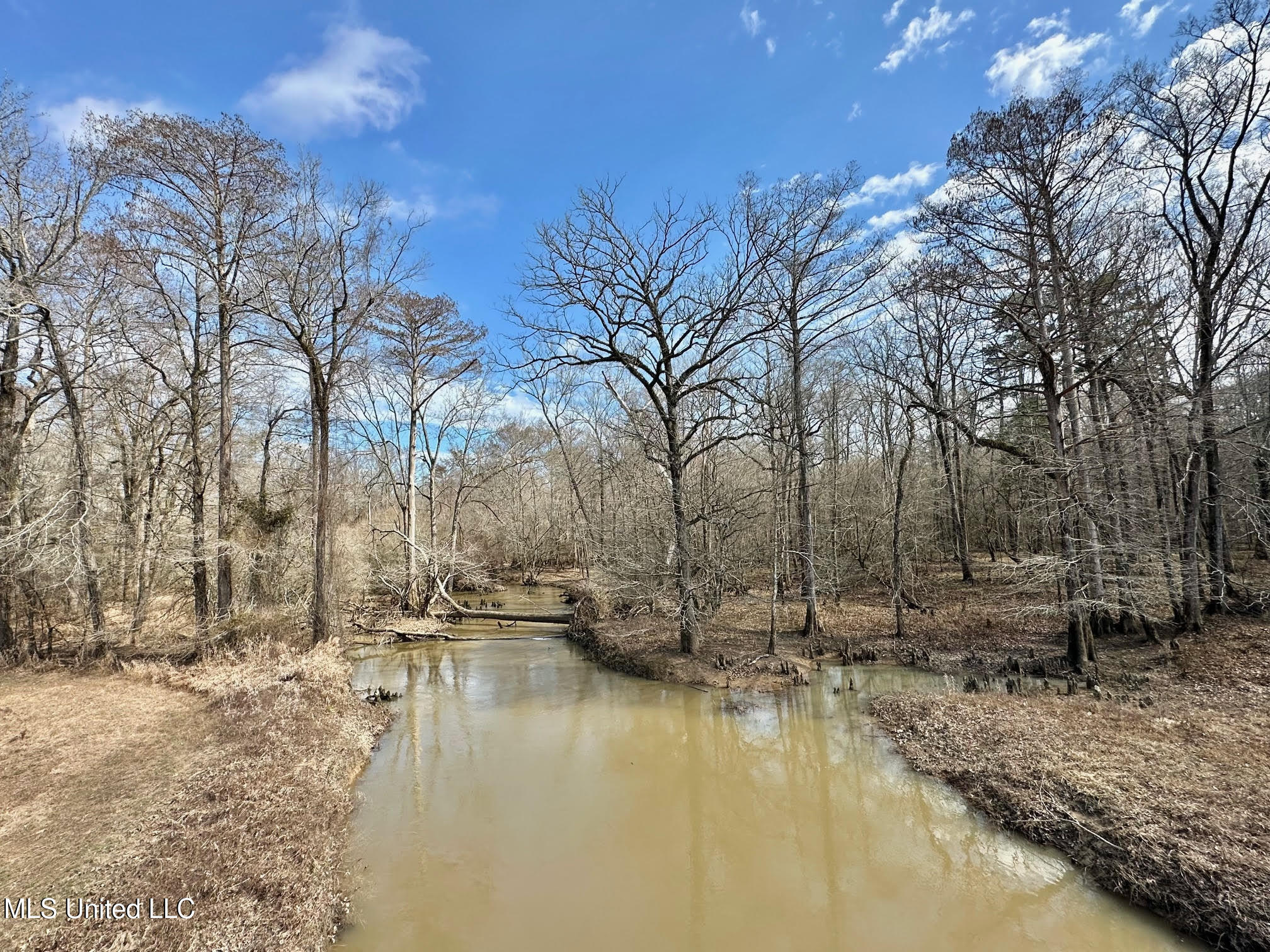 2 Evans Road Carthage, MS 39051 - Photo 3 of 51 2