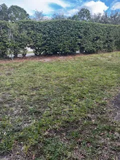 a view of a green field