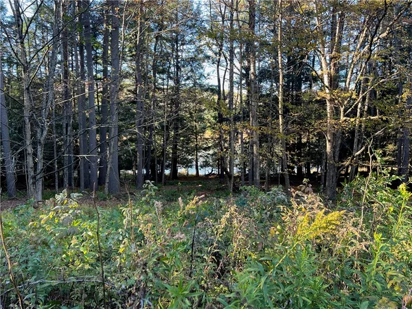 $149,000 | 376 Larchwood Lane, Laurens, NY 13796