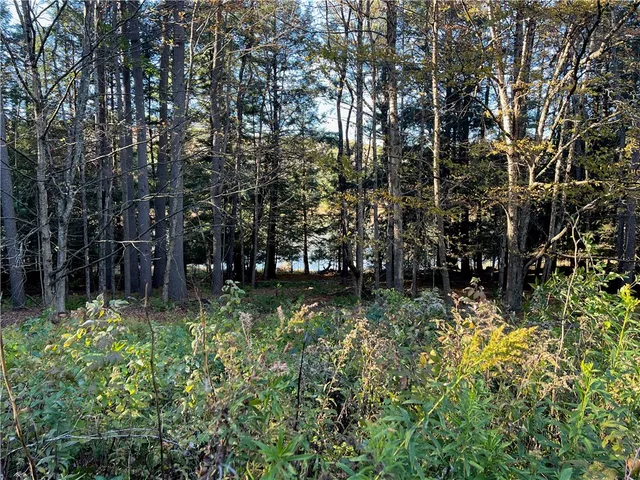 $149,000 | 376 Larchwood Lane, Laurens, NY 13796