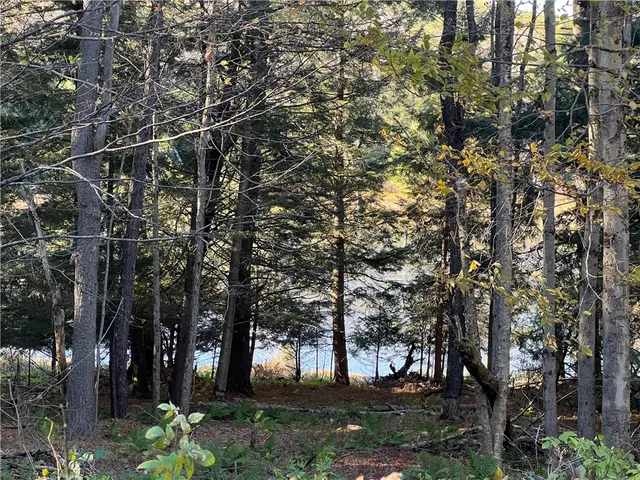 $149,000 | 376 Larchwood Lane, Laurens, NY 13796