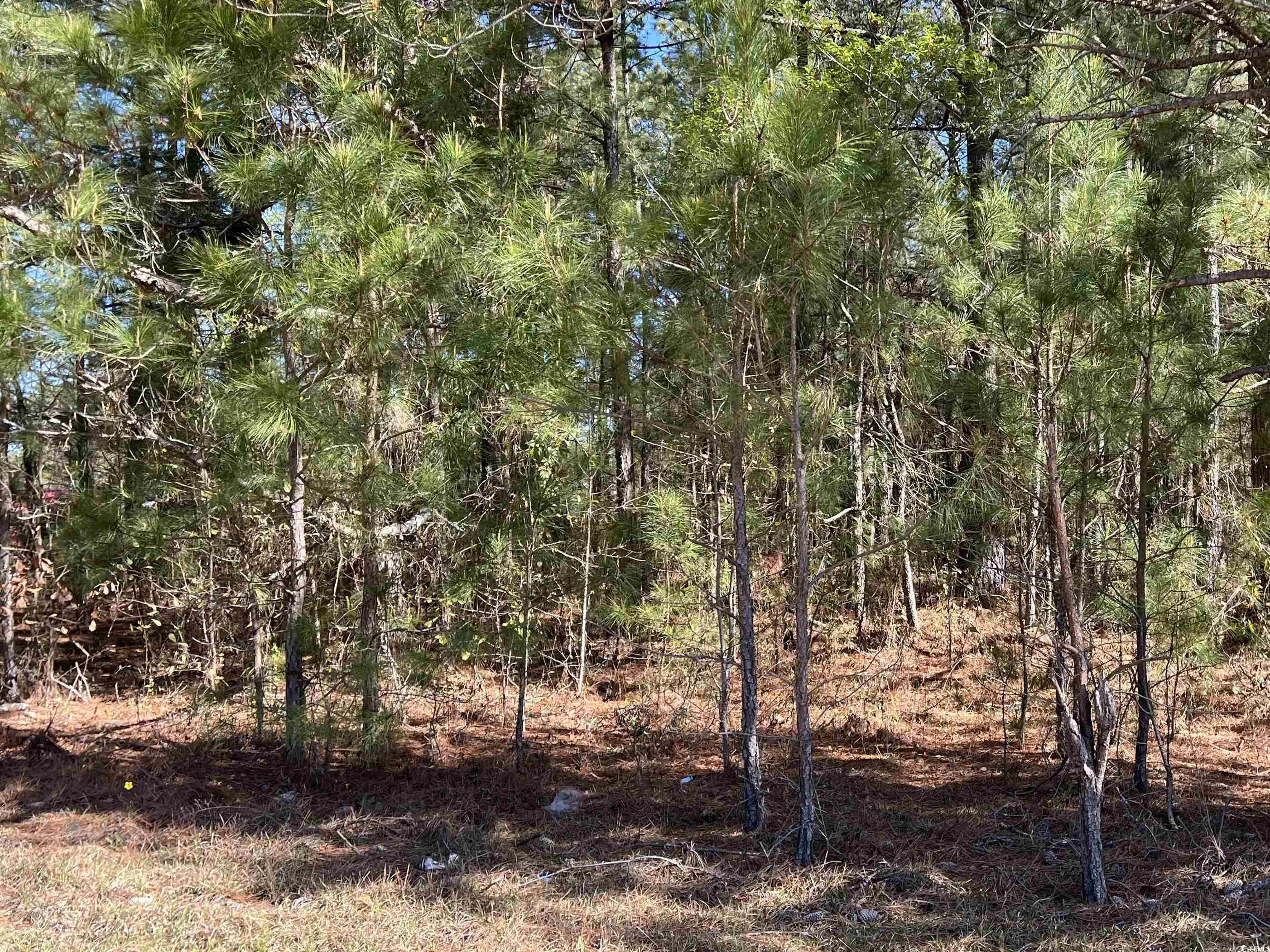 Brenwood Road Lake View, SC 29563 - Photo 16 of 16 Gallery Image 16
