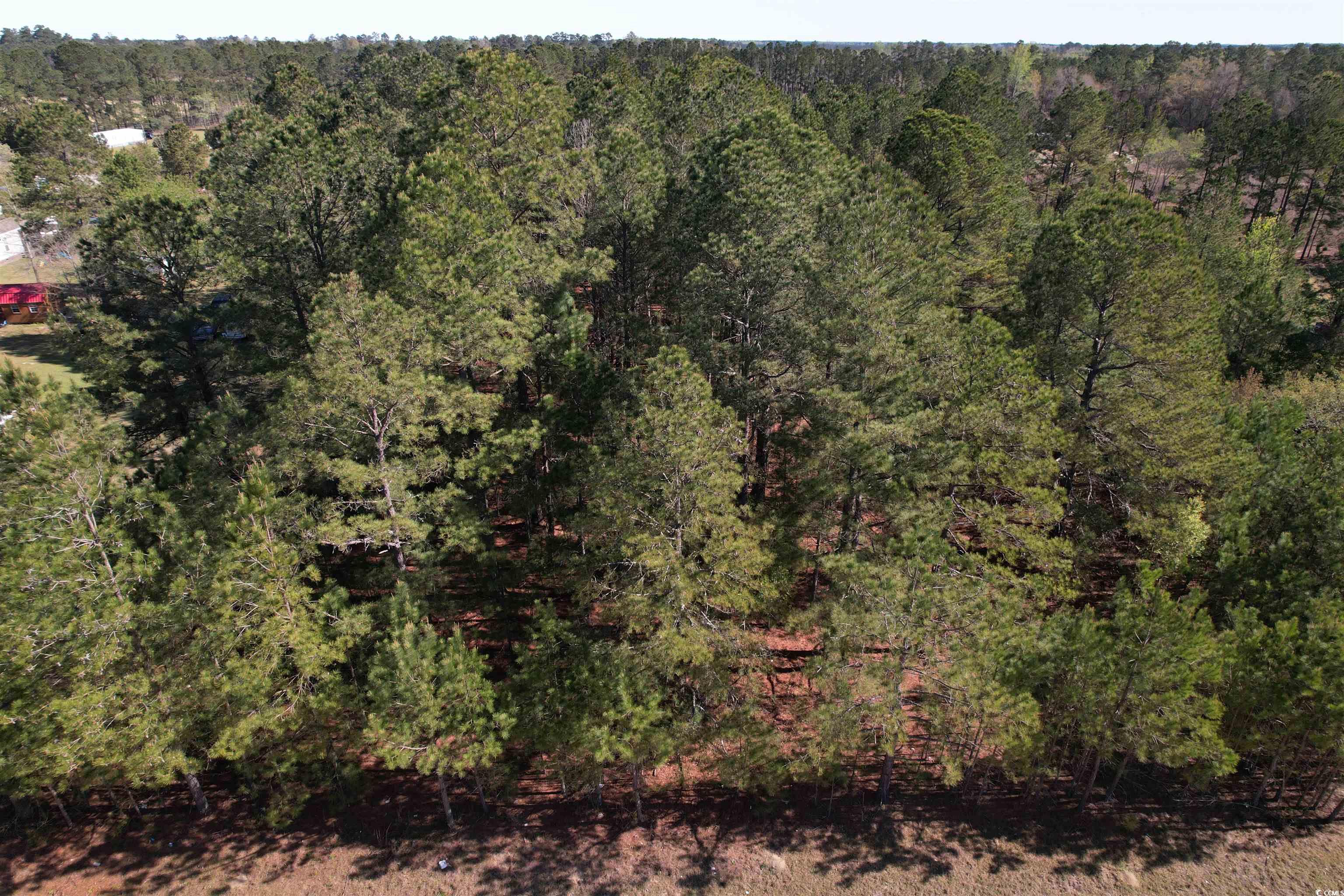 Brenwood Road Lake View, SC 29563 - Photo 3 of 16 Gallery Image 3