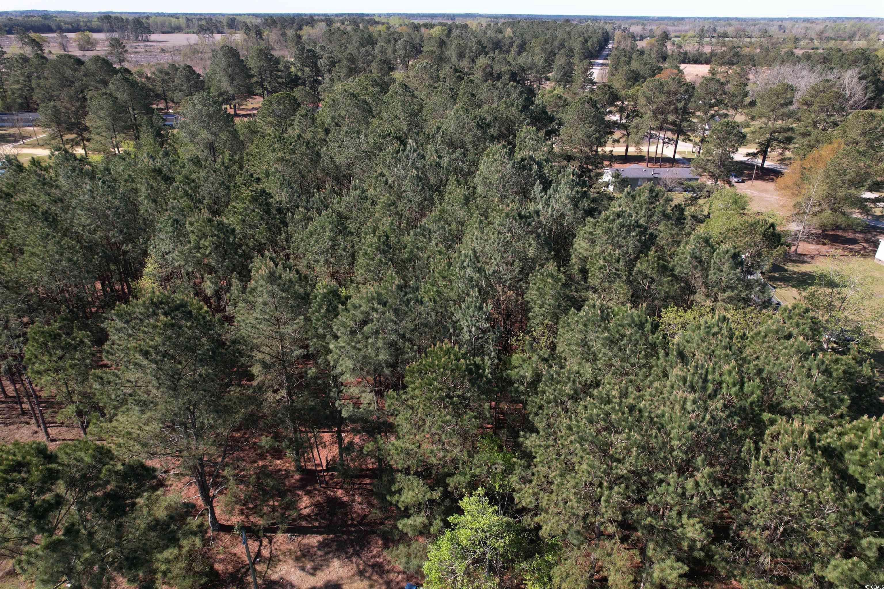 Brenwood Road Lake View, SC 29563 - Photo 4 of 16 Gallery Image 4