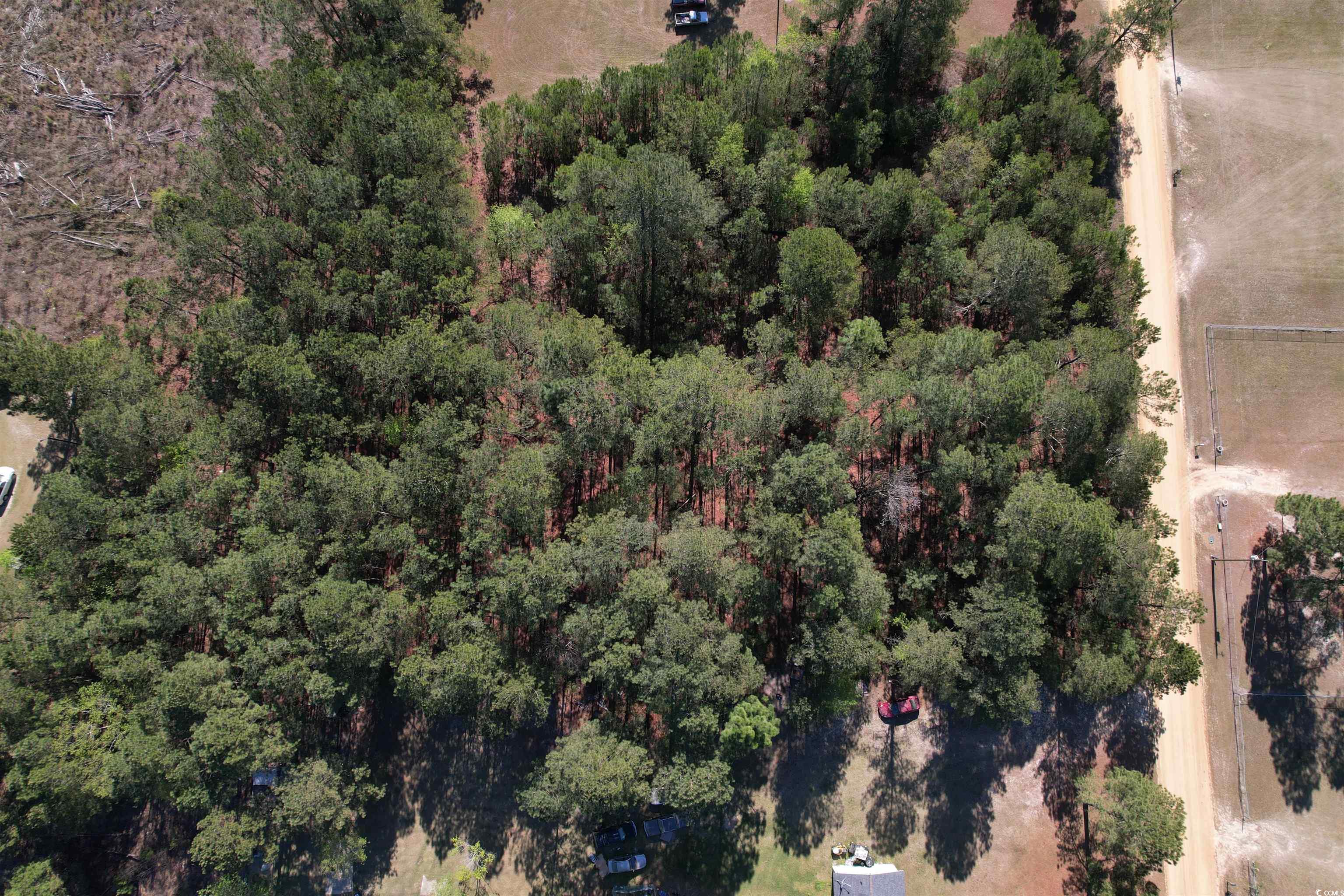 Brenwood Road Lake View, SC 29563 - Photo 5 of 16 Gallery Image 5