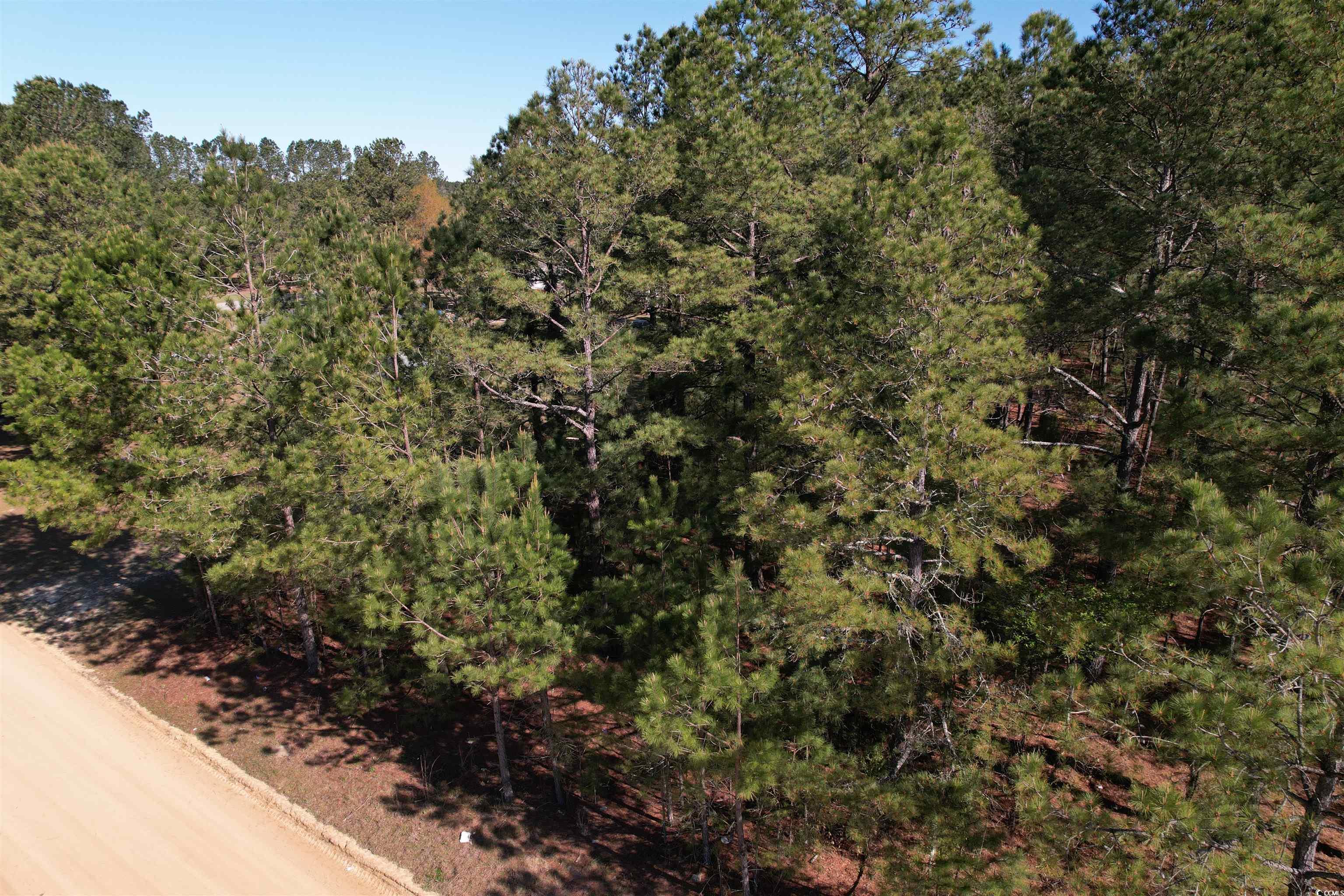 Brenwood Road Lake View, SC 29563 - Photo 10 of 16 Gallery Image 10